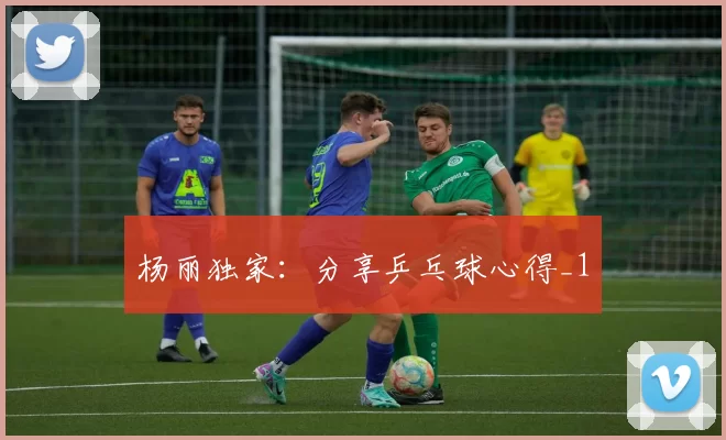 杨丽独家：分享乒乓球心得_1