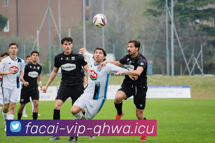 九游体育APP 封面图